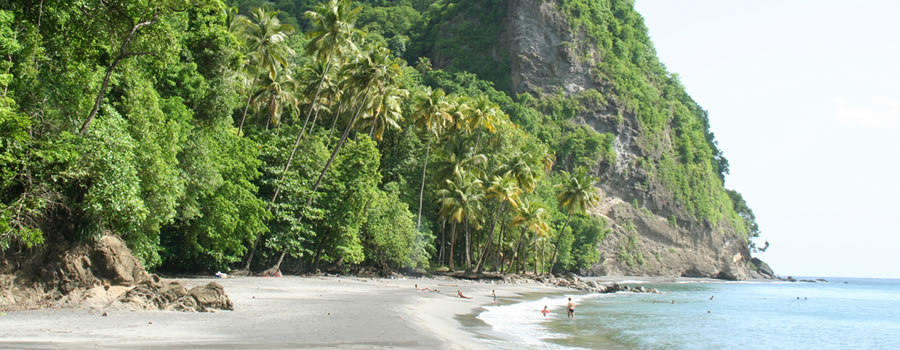 Plage sauvage de l'Anse Couleuvre